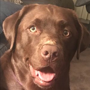 Meet your Posher, Roxanne